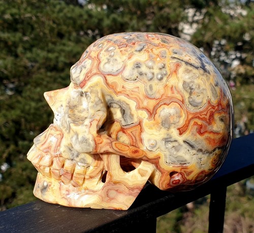Crâne cristal sculpté en - de,