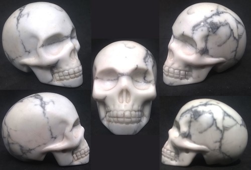 Crâne cristal howlite - crâne,